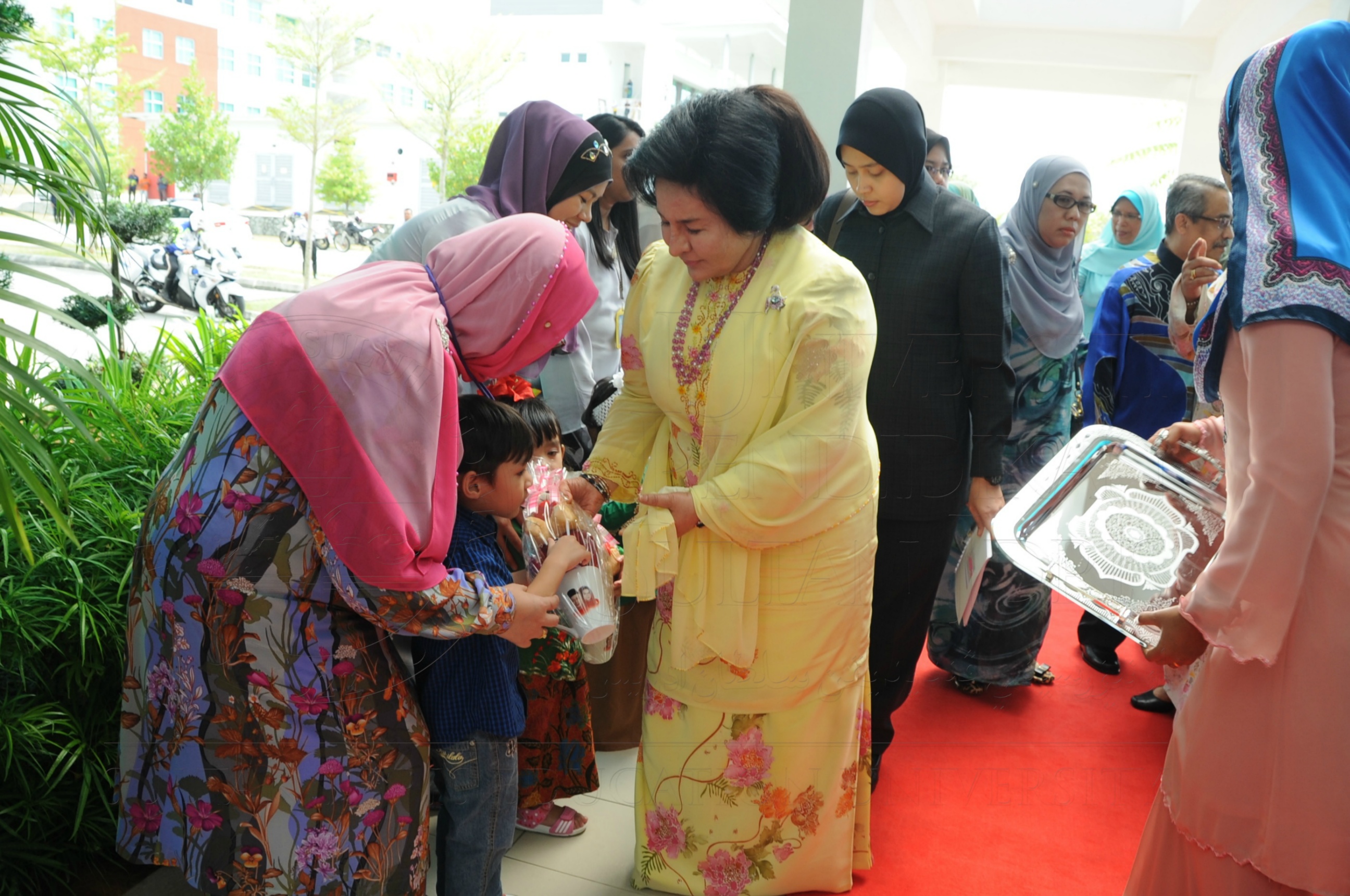 PRO16 32 NCDC HAS 3411